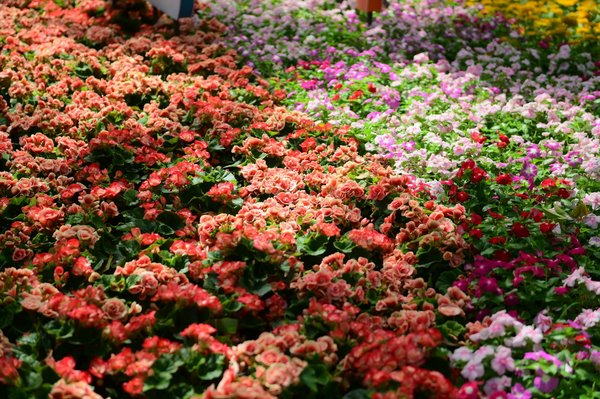 Achieving Perfect Indoor Climate: The Ultimate UK Resident's Guide to Effective Humidity Control with Dehumidifiers